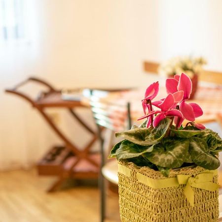 Apartments Mirjana بولا المظهر الخارجي الصورة