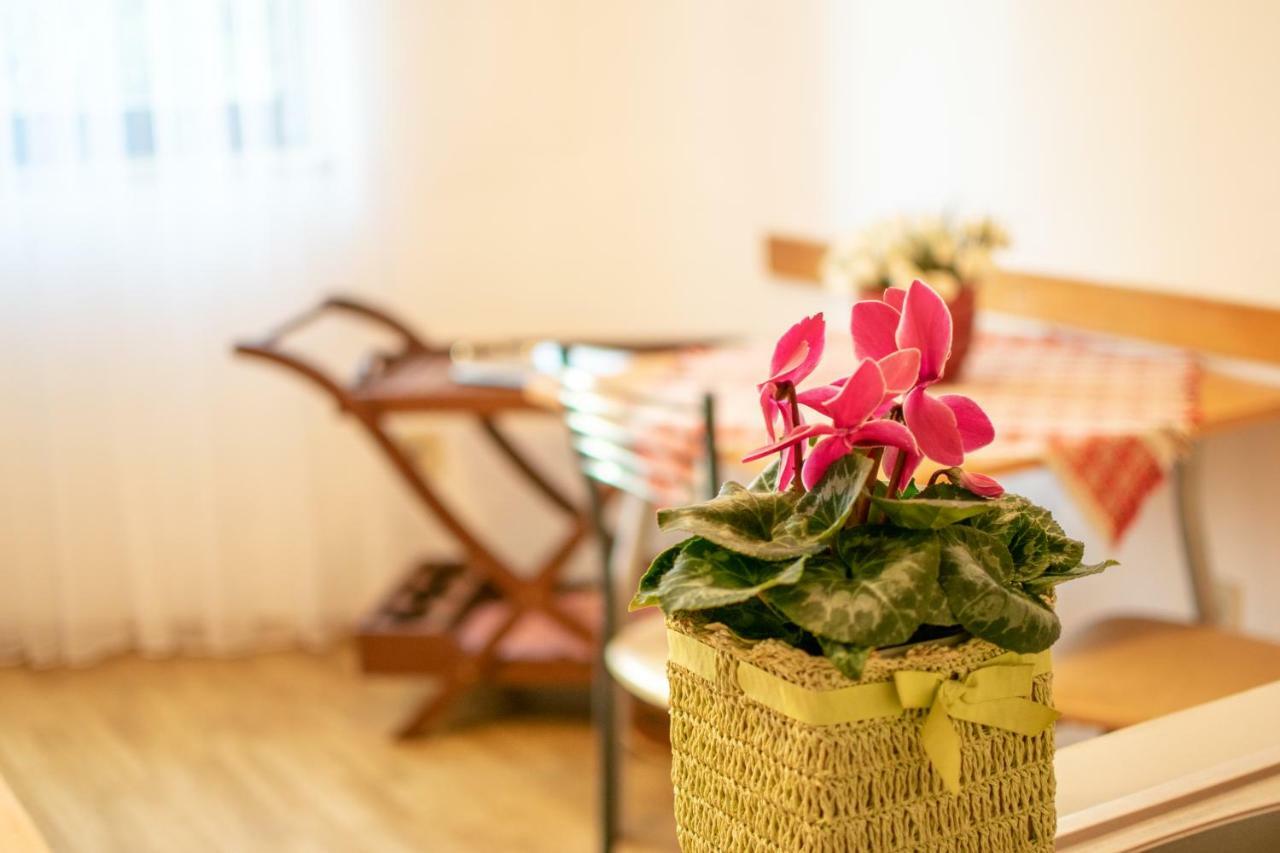 Apartments Mirjana بولا المظهر الخارجي الصورة